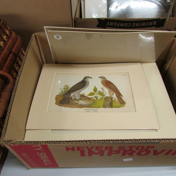 Image for Find Treasure With Discovery Lots! 5-31-18