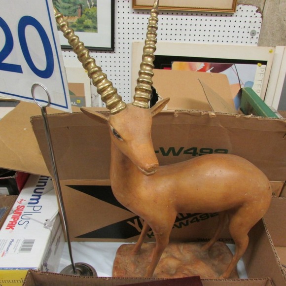 Image for Find Treasure With Discovery Lots! 5-31-18