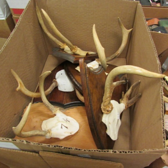 Image for Alderfer Simulcast: Field & Stream, Taxidermy and Sporting Auction - 5-31-18