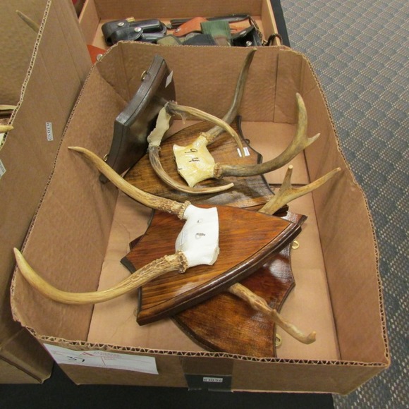 Image for Alderfer Simulcast: Field & Stream, Taxidermy and Sporting Auction - 5-31-18