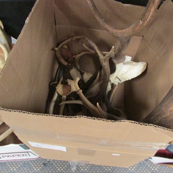 Image for Alderfer Simulcast: Field & Stream, Taxidermy and Sporting Auction - 5-31-18