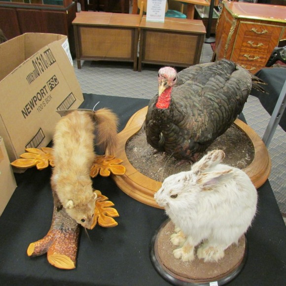 Image for Alderfer Simulcast: Field & Stream, Taxidermy and Sporting Auction - 5-31-18