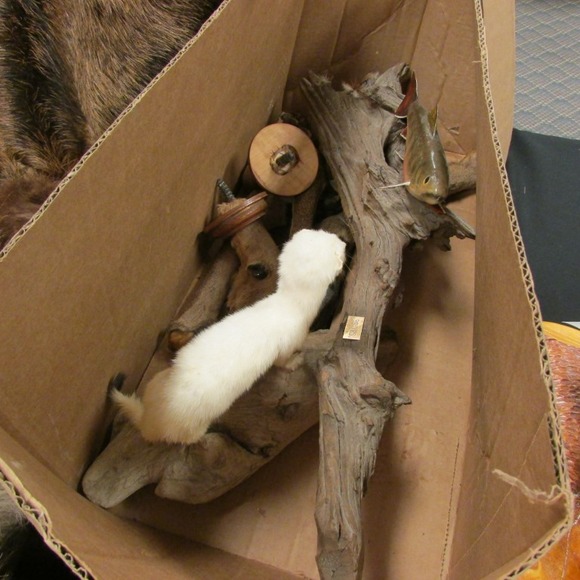 Image for Alderfer Simulcast: Field & Stream, Taxidermy and Sporting Auction - 5-31-18