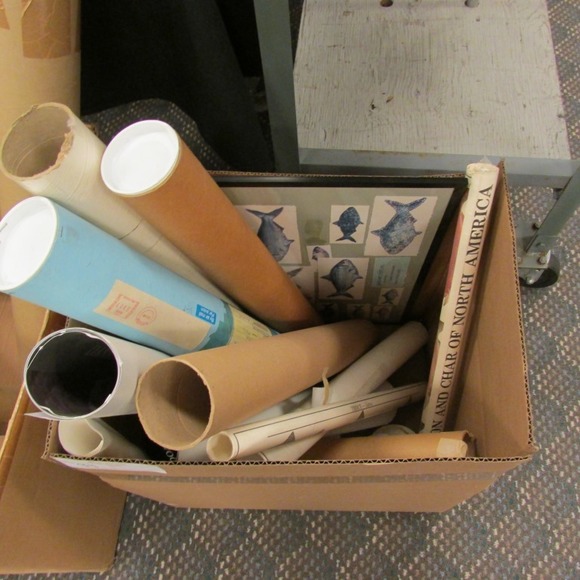 Image for Alderfer Simulcast: Field & Stream, Taxidermy and Sporting Auction - 5-31-18