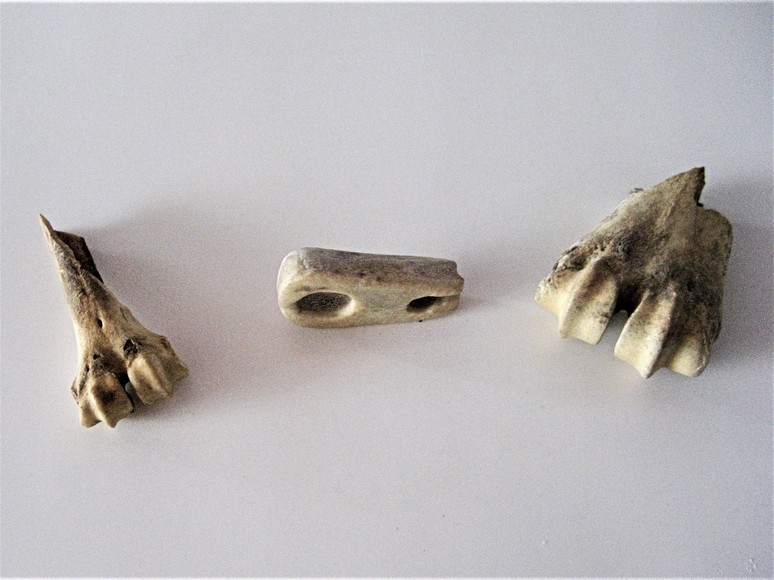 Dog Sled Trace Buckle and Harness Equipment