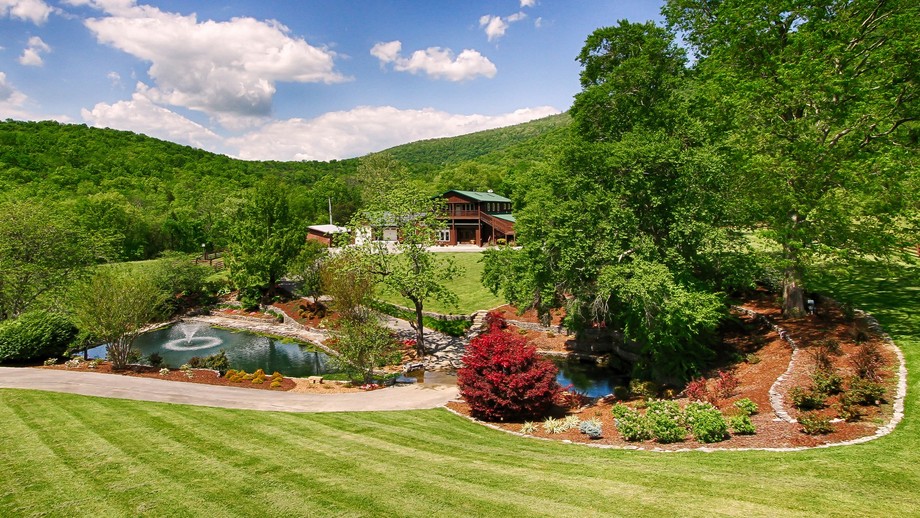 Image for Spring Tree Farms