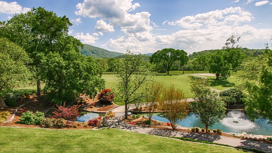 Image for Spring Tree Farms