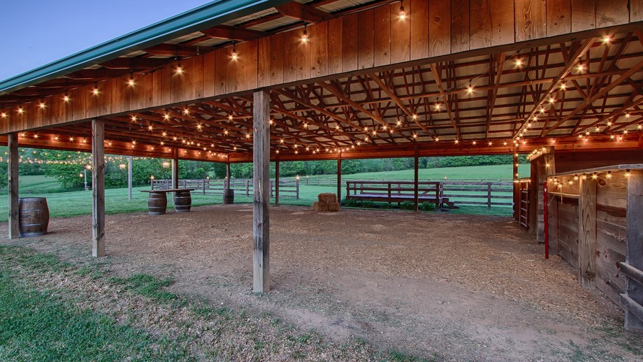 Image for Spring Tree Farms