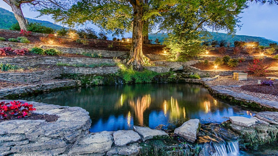 Image for Spring Tree Farms