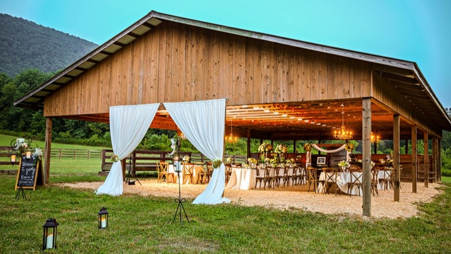 Image for Spring Tree Farms