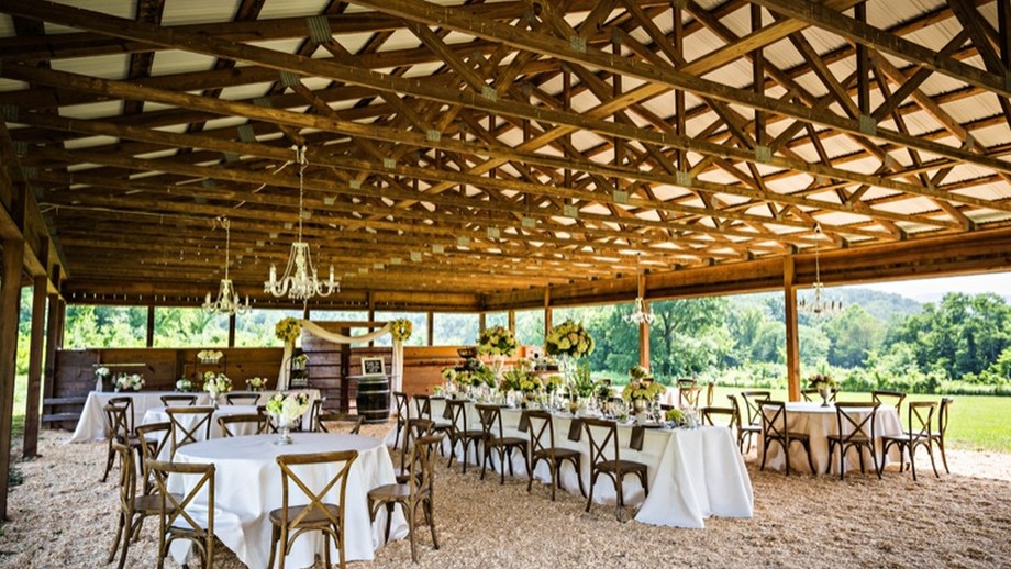 Image for Spring Tree Farms