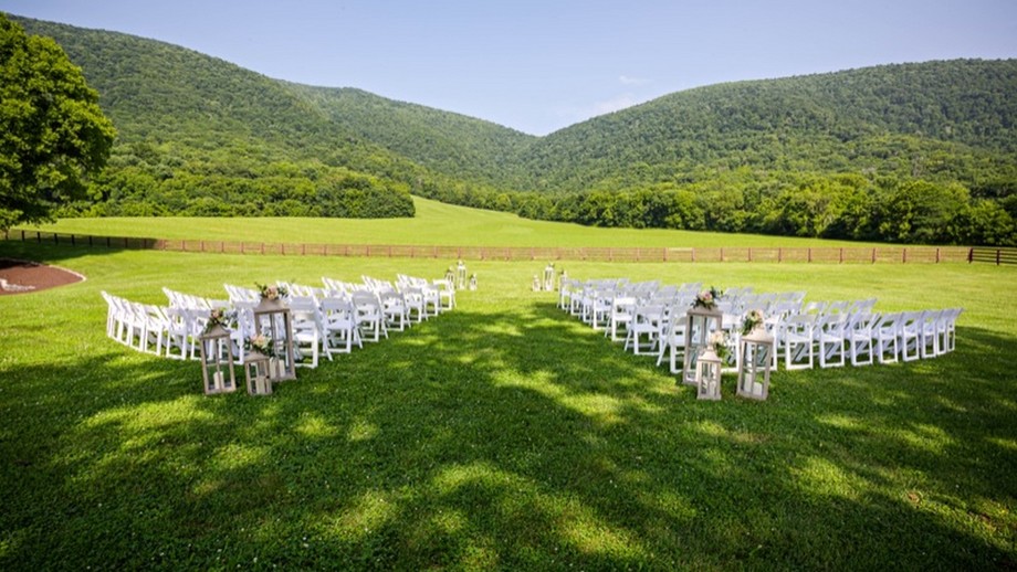 Image for Spring Tree Farms