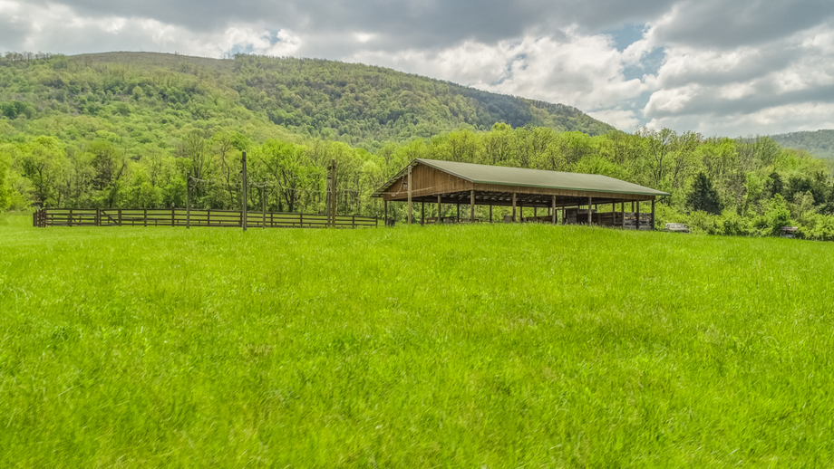 Image for Spring Tree Farms