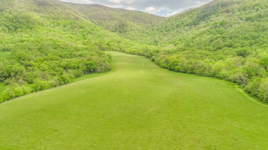 Image for Spring Tree Farms