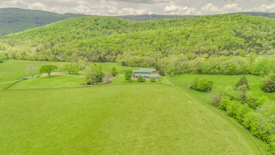 Image for Spring Tree Farms