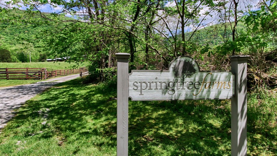 Image for Spring Tree Farms