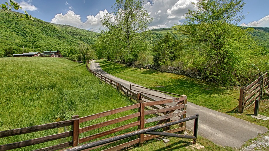 Image for Spring Tree Farms