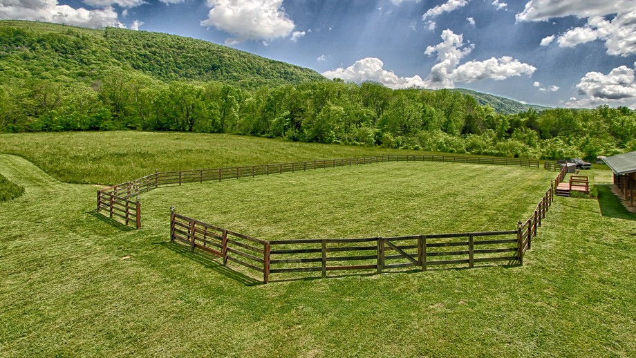 Image for Spring Tree Farms