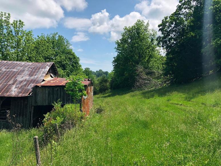 Image for FARM HOUSE & 37.2 ACRES (±) Car, Furniture & Antiques