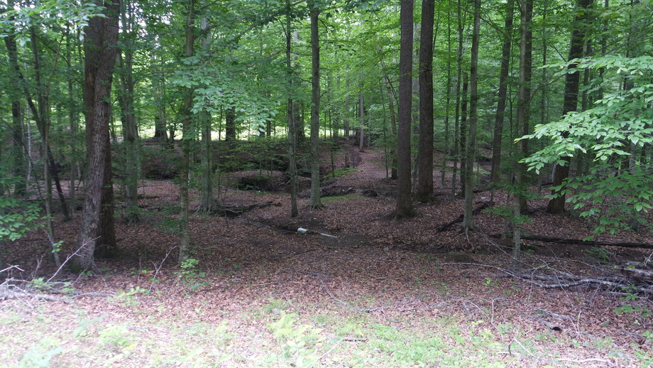 Image for 4 BR/2 BA Brick Home w/Walk-Out Basement on 40 +/- Acres in Madison County, VA.  Selling to the Highest Bidder Regardless of Price!!