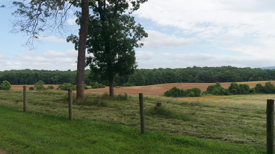 Image for 4 BR/2 BA Brick Home w/Walk-Out Basement on 40 +/- Acres in Madison County, VA.  Selling to the Highest Bidder Regardless of Price!!