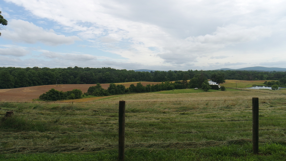 Image for 4 BR/2 BA Brick Home w/Walk-Out Basement on 40 +/- Acres in Madison County, VA.  Selling to the Highest Bidder Regardless of Price!!