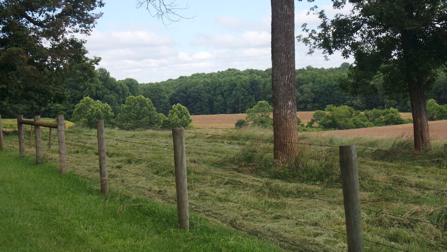 Image for 4 BR/2 BA Brick Home w/Walk-Out Basement on 40 +/- Acres in Madison County, VA.  Selling to the Highest Bidder Regardless of Price!!
