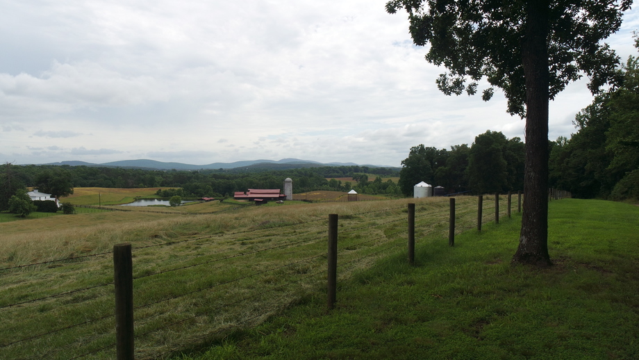 Image for 4 BR/2 BA Brick Home w/Walk-Out Basement on 40 +/- Acres in Madison County, VA.  Selling to the Highest Bidder Regardless of Price!!