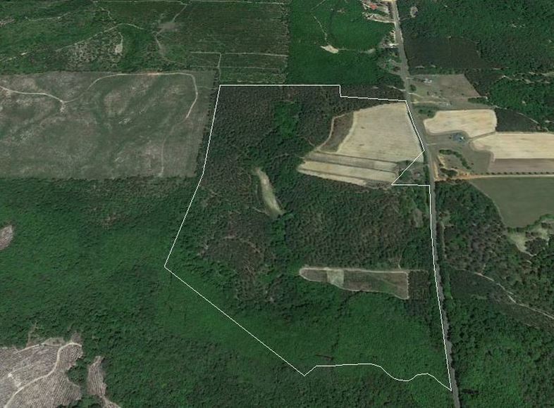 129+/ Acres w/ House in Reynolds, GA
