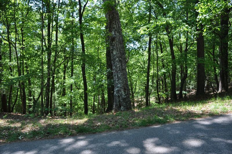 Image for Residential Lot in Skylake Community, Sautee Nacoochee, GA