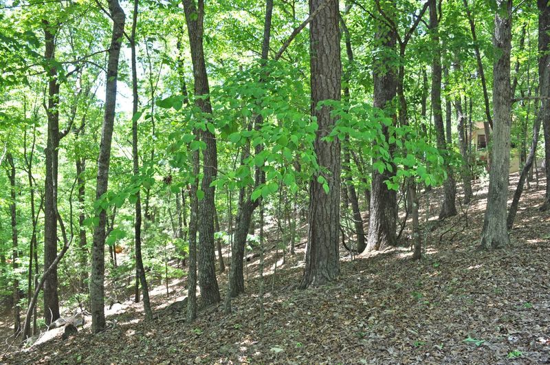 Image for Residential Lot in Skylake Community, Sautee Nacoochee, GA