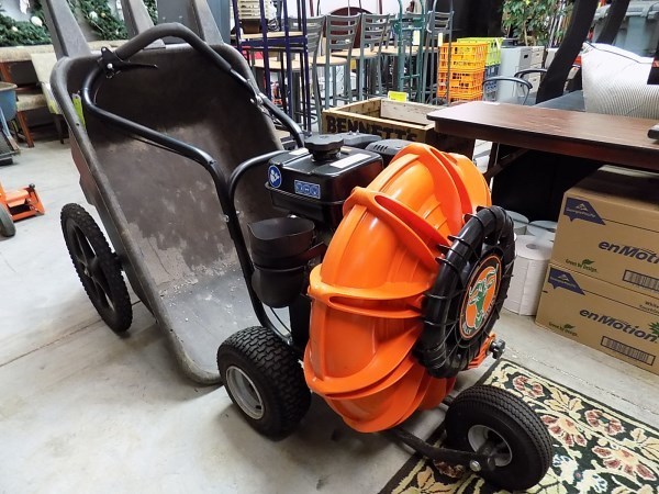 Image for Assets From The Church of Jesus Christ of Latter Day Saints