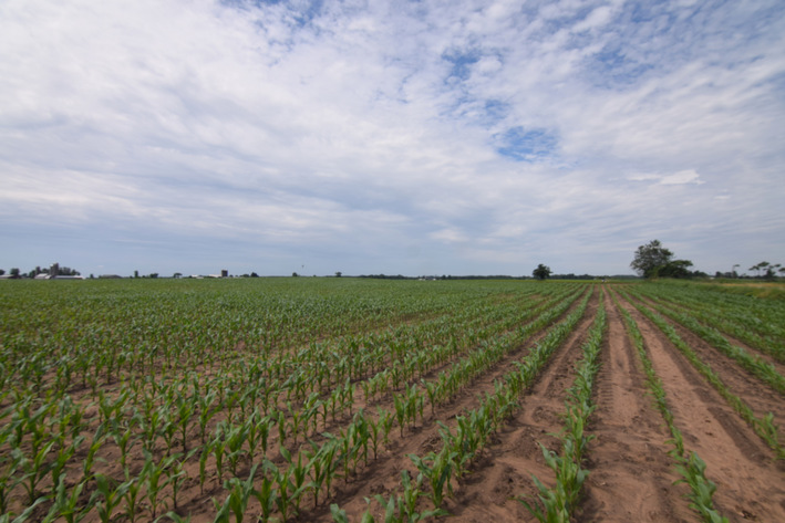 Image for 60 Acres Agricultural Land - Deer Creek, Outagamie County, Wisconsin