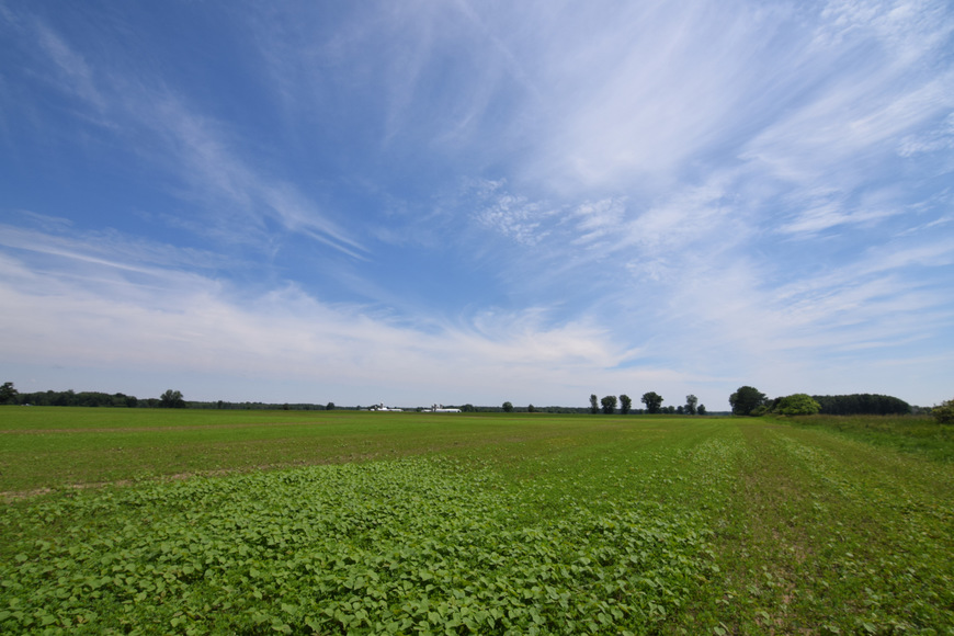 Image for 60 Acres Agricultural Land - Deer Creek, Outagamie County, Wisconsin