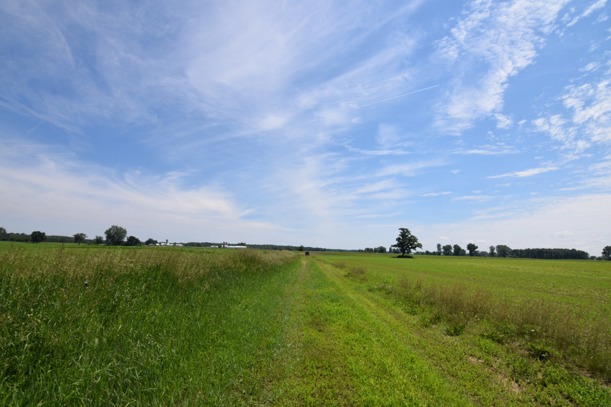 Image for 60 Acres Agricultural Land - Deer Creek, Outagamie County, Wisconsin