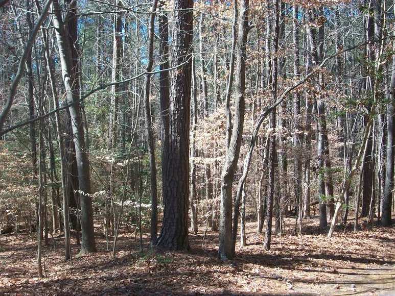 Image for FERNCLIFF SUBDIVISION : PROPERTY AUCTION