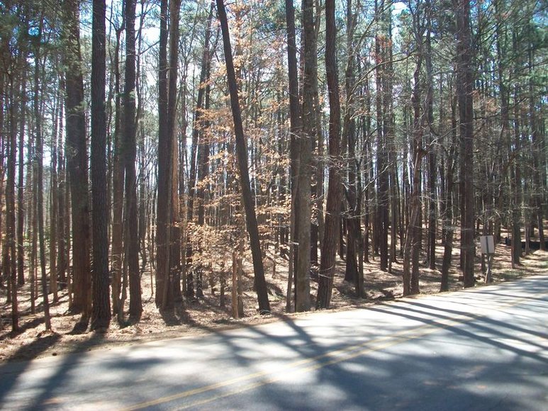 Image for FERNCLIFF SUBDIVISION : PROPERTY AUCTION