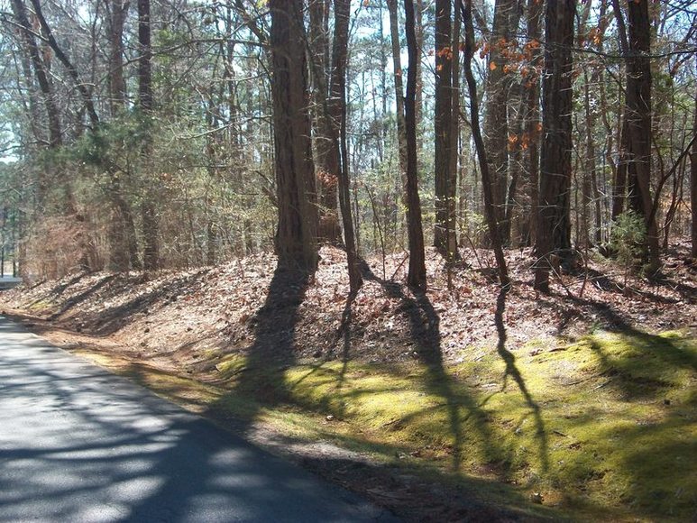 Image for FERNCLIFF SUBDIVISION : PROPERTY AUCTION