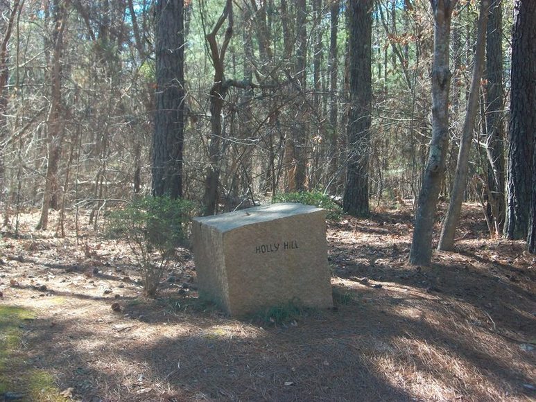 Image for FERNCLIFF SUBDIVISION : PROPERTY AUCTION