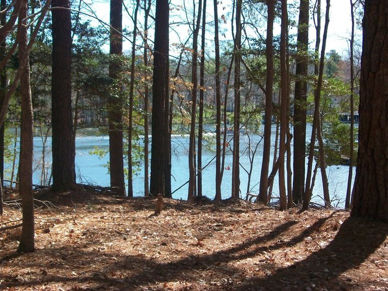 Image for FERNCLIFF SUBDIVISION : PROPERTY AUCTION