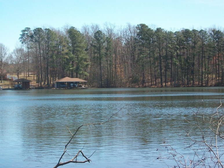 Image for FERNCLIFF SUBDIVISION : PROPERTY AUCTION