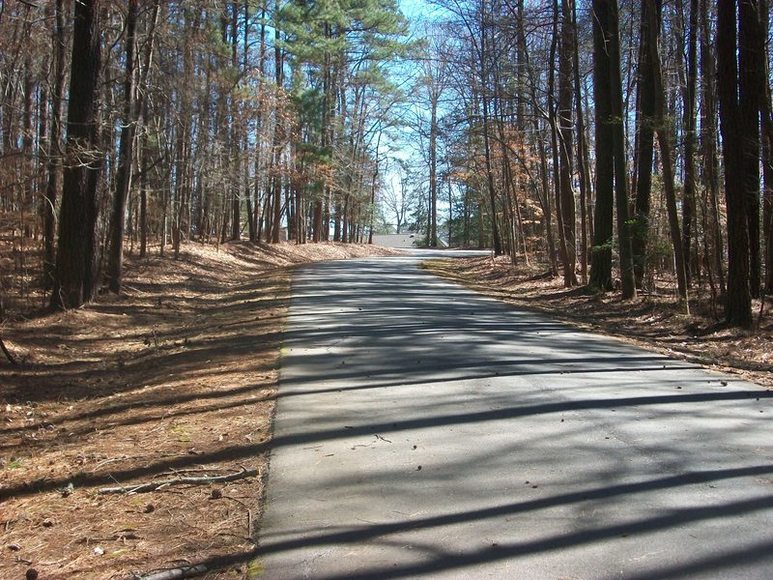 Image for FERNCLIFF SUBDIVISION : PROPERTY AUCTION