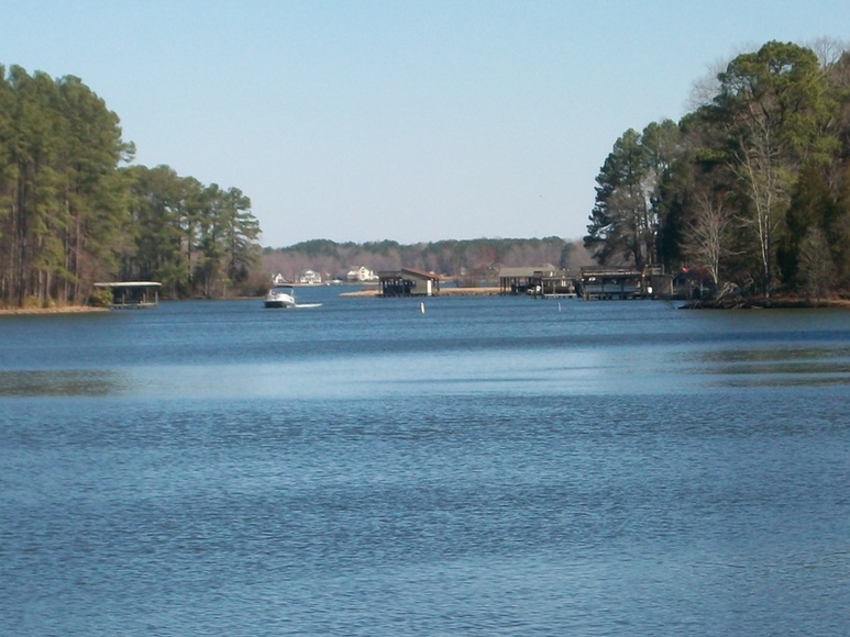 Image for FERNCLIFF SUBDIVISION : PROPERTY AUCTION