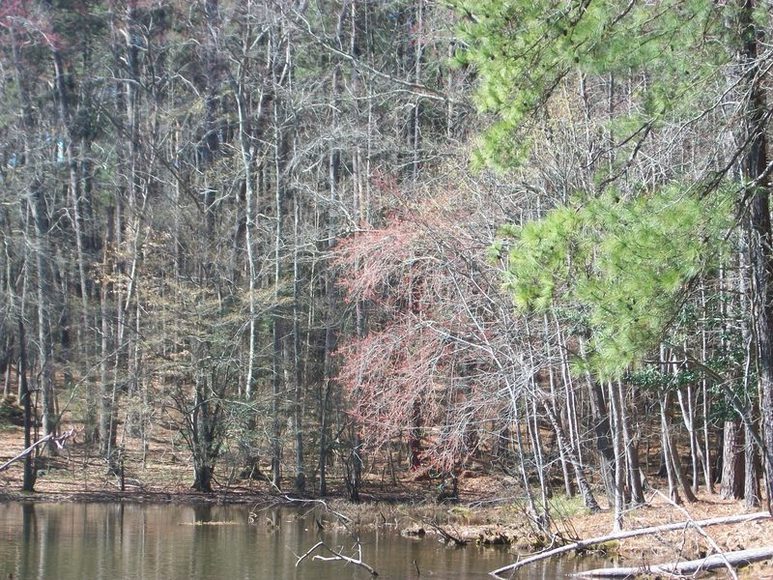 Image for FERNCLIFF SUBDIVISION : PROPERTY AUCTION