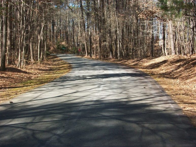 Image for FERNCLIFF SUBDIVISION : PROPERTY AUCTION