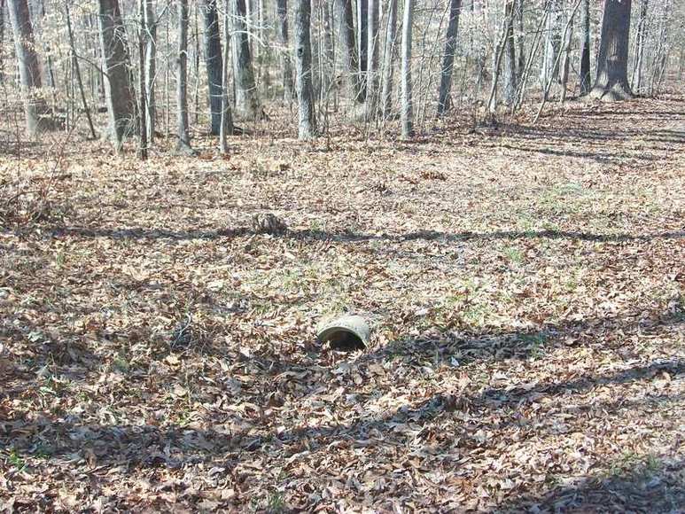 Image for MULTI PROPERTY AUCTION:7 Properties...7 Opportunities