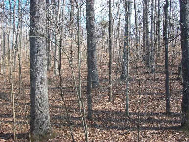 Image for MULTI PROPERTY AUCTION:7 Properties...7 Opportunities