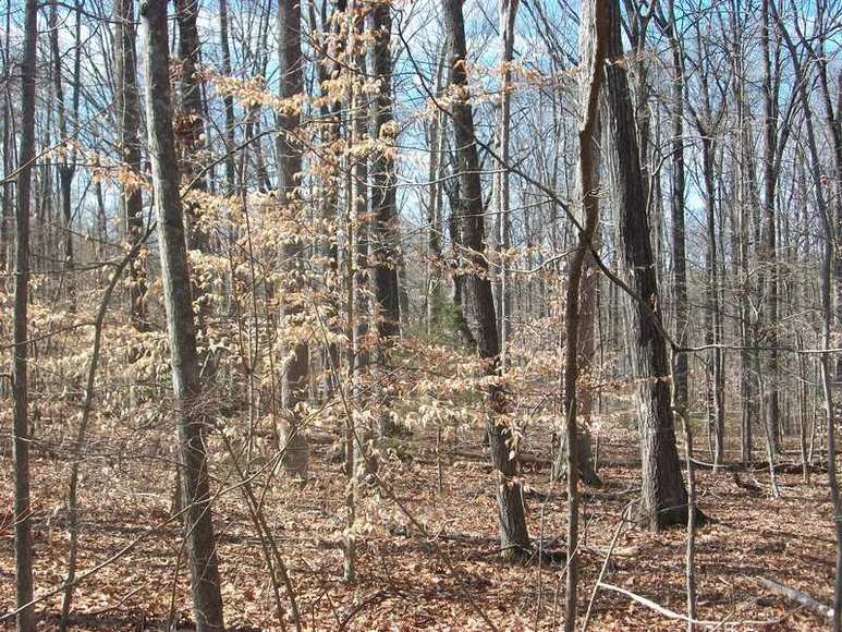 Image for MULTI PROPERTY AUCTION:7 Properties...7 Opportunities