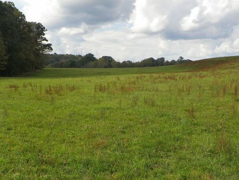 Image for ABSOLUTE TRUSTEE AUCTION