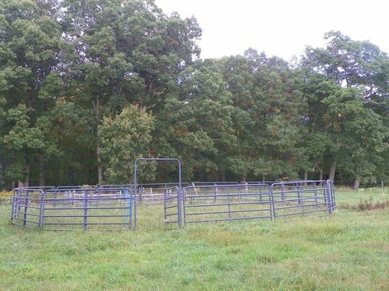 Image for ABSOLUTE TRUSTEE AUCTION